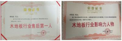 木地板優(yōu)秀行業(yè)優(yōu)秀勞?！陚|
